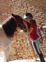 Au poney merveilleux