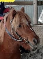 Inscriptions 2024/2025